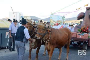 Alegre y participativa romería en El Ejido (Foto FJ Santana y TF)
